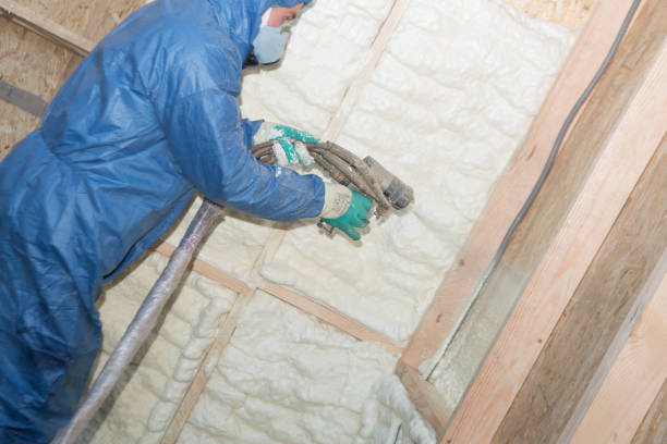 Best Eco-Friendly or Green Insulation Solutions  in Herndon, VA